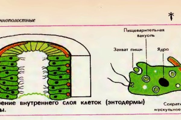 Кракен маркетплейс kr2web in