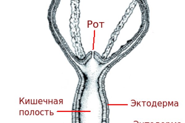 Каталог сайтов даркнет