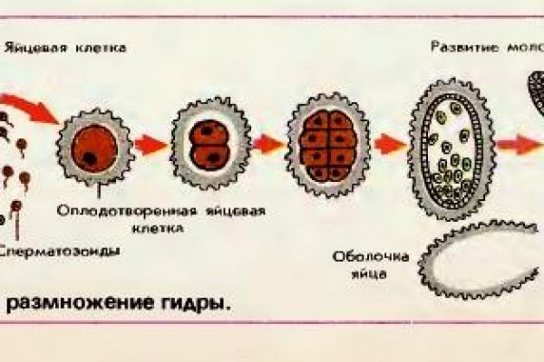 Dark net официальный сайт