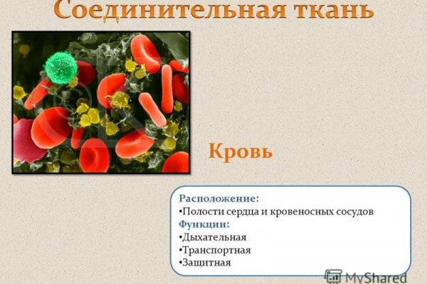 Кракена точка нет